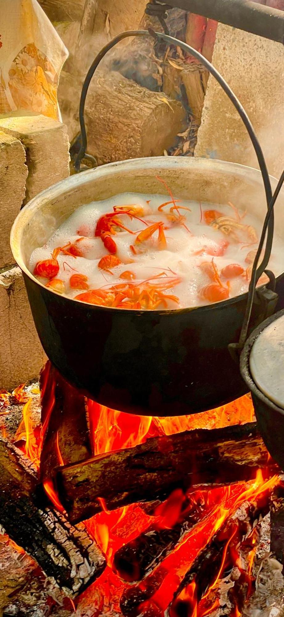 카사 테오 호텔 마흐무디아 외부 사진