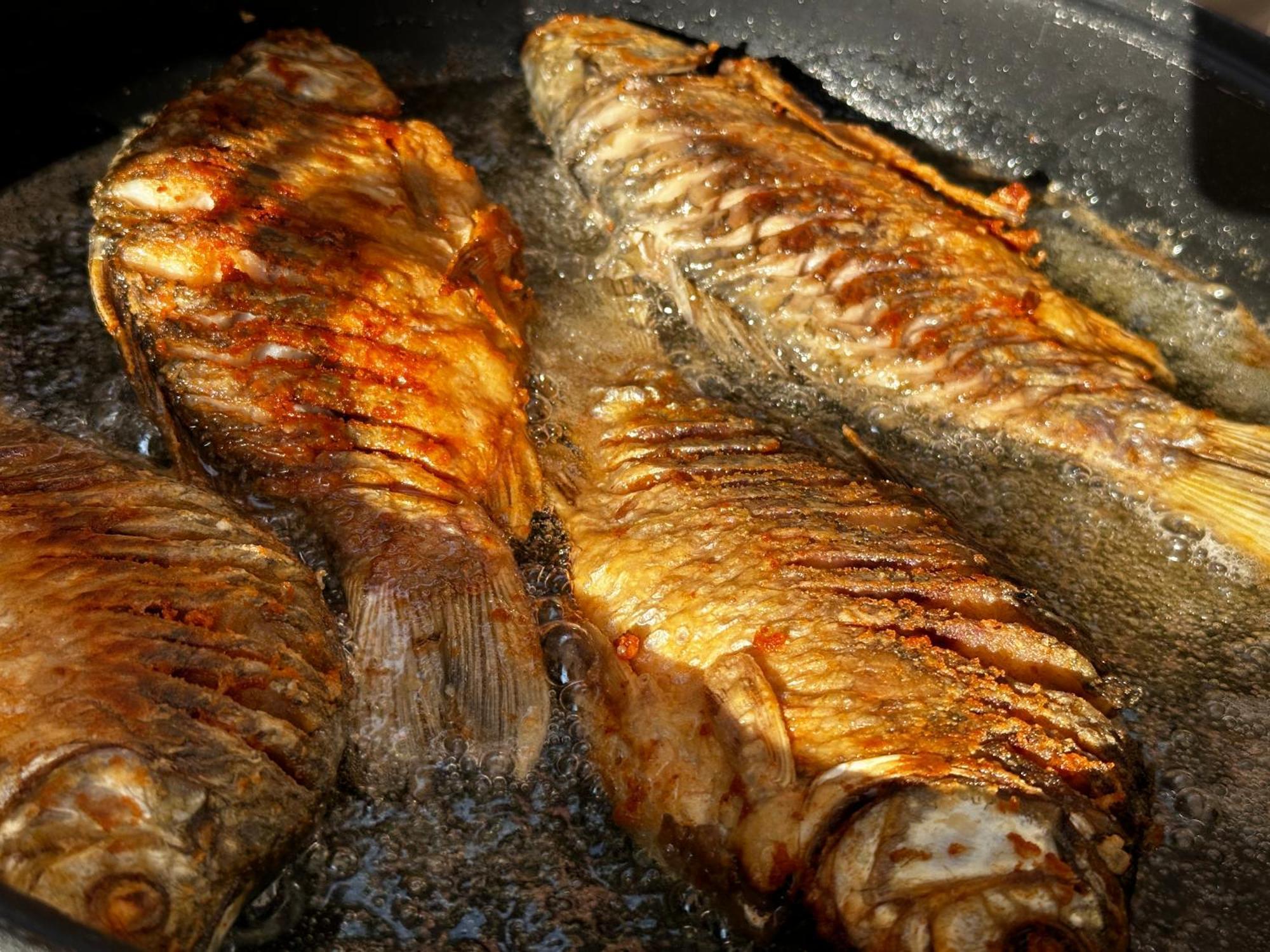 카사 테오 호텔 마흐무디아 외부 사진